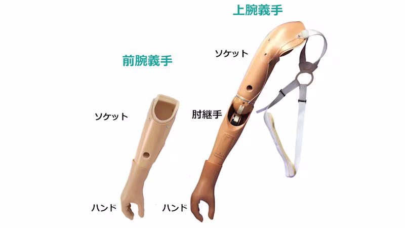 義手の種類と構造 上腕義手 前腕義手