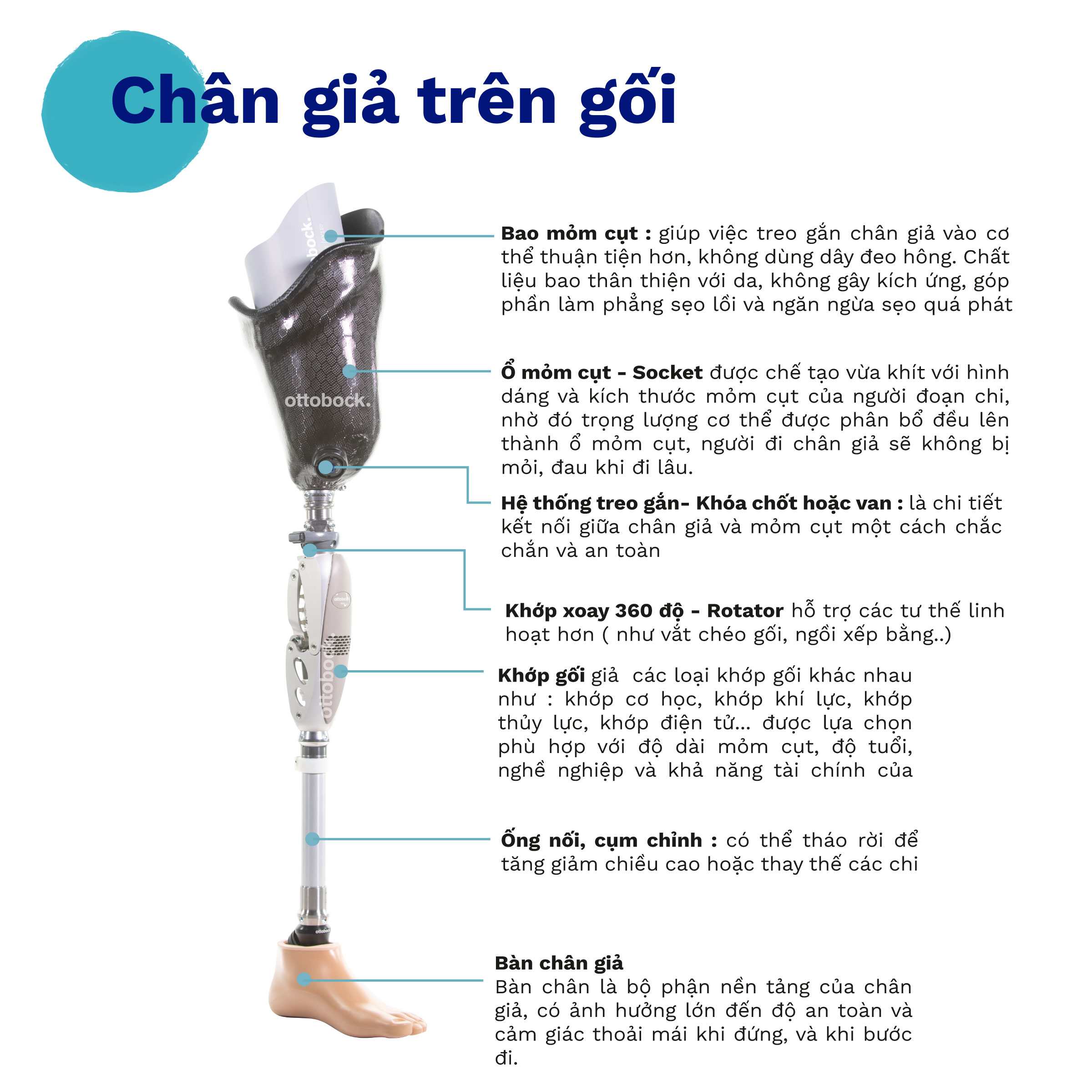 hinh-anh-san-pham-10