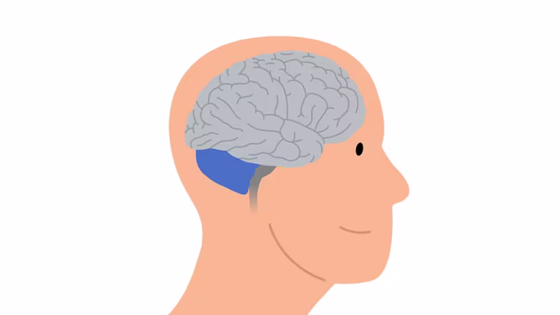 Grafika ľudskej hlavy a mozgu, na ktorej sú oblasti mozgu postihnuté ataxiou zvýraznené modrou farbou