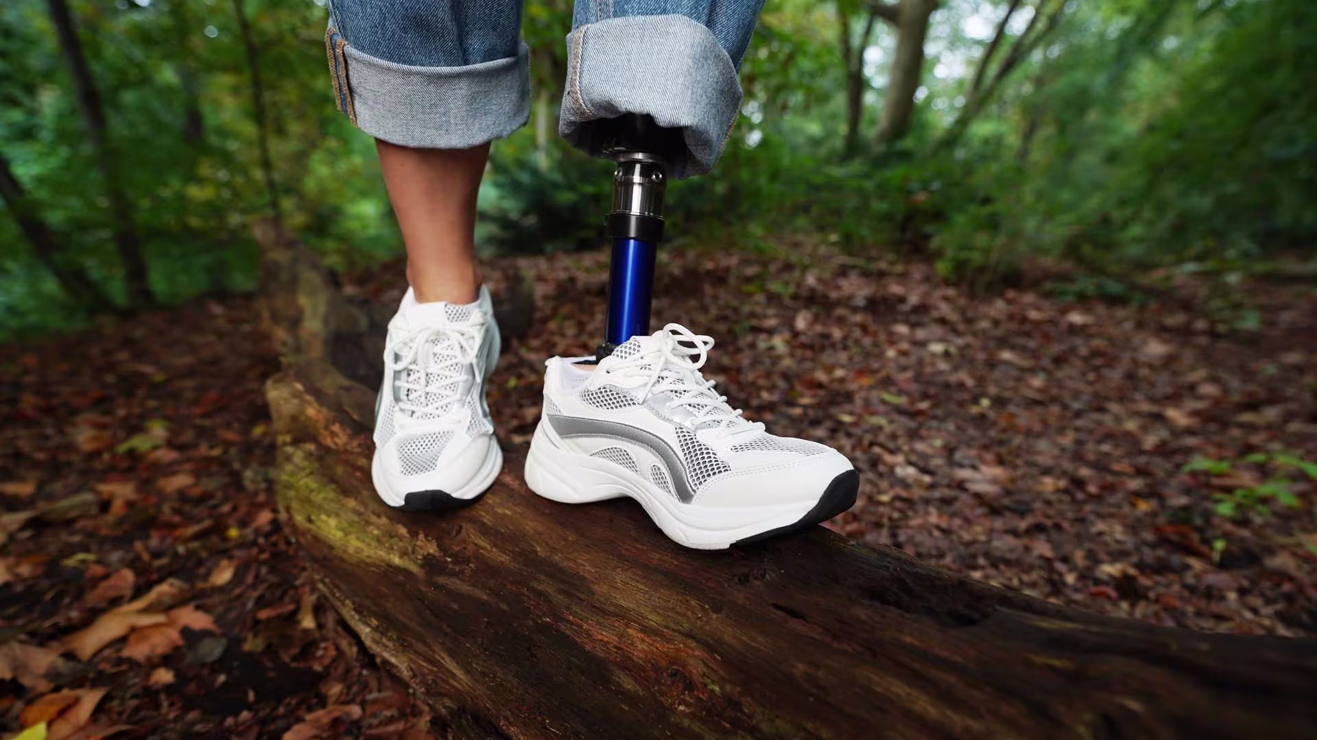 1C70エヴァント ねじれ トーション機能