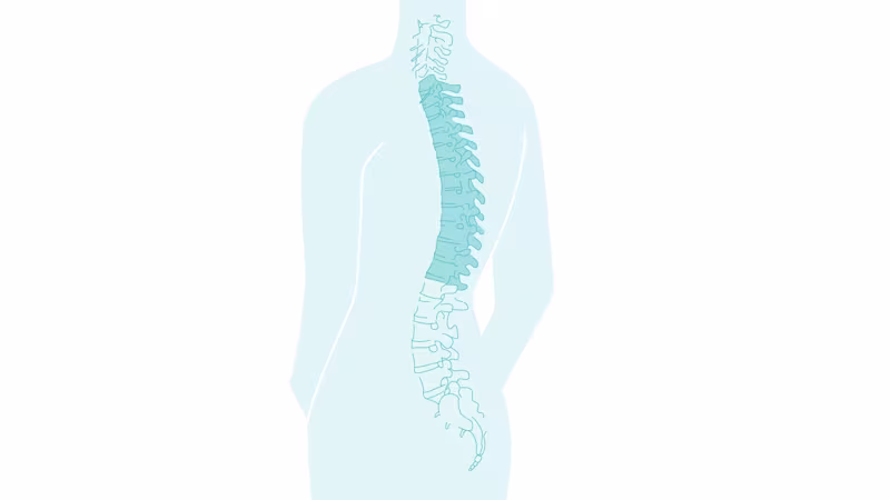 Torasik bölgede (üst veya orta sırt) işaretlenmiş omurga.