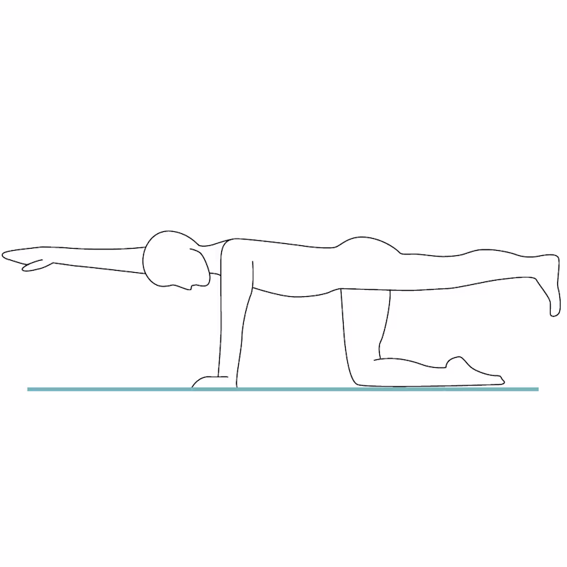 il-01784 Übung6--11-col(3493371) en