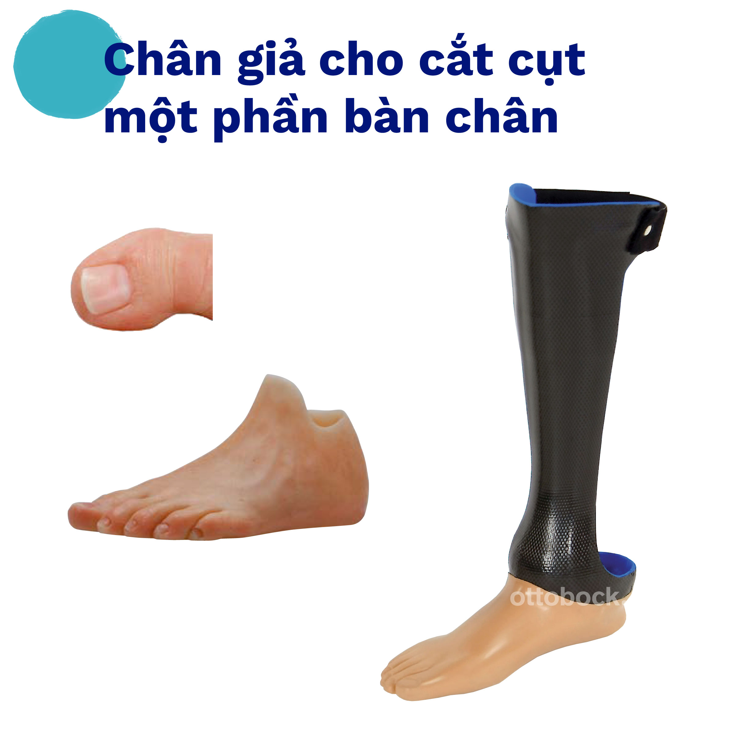 hinh-anh-san-pham-7