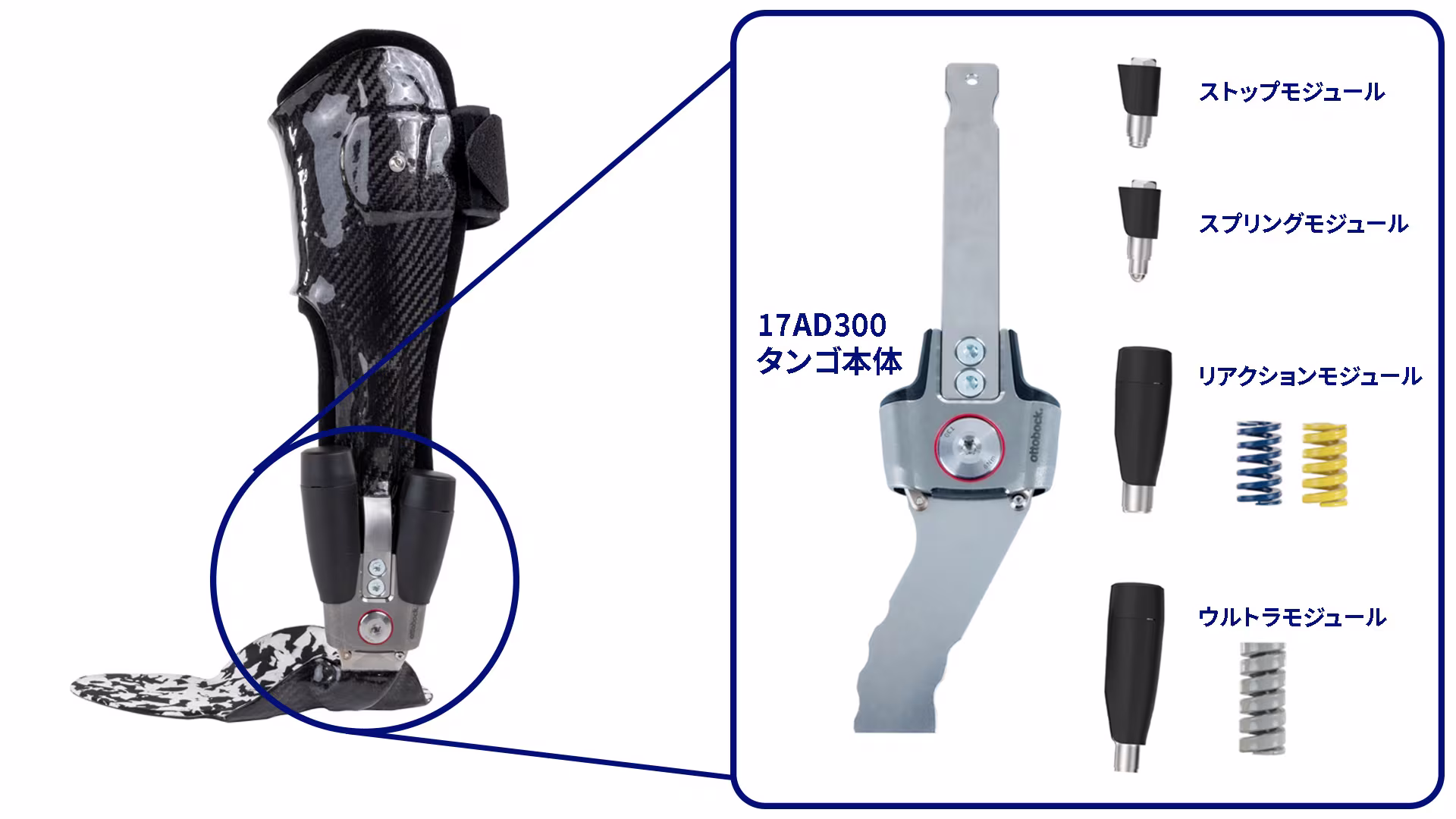 17ad300 structure-2_JA-JP