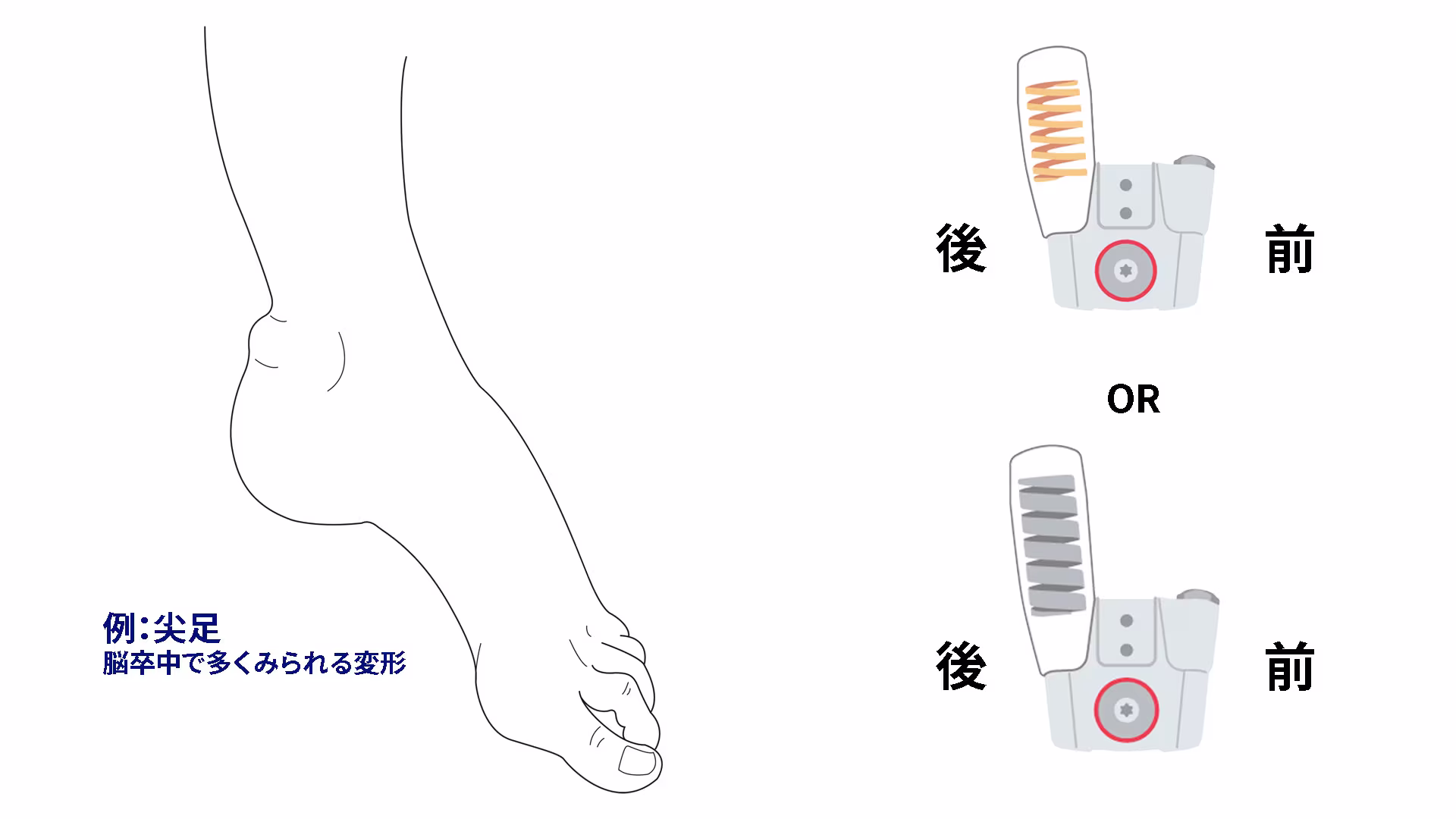 tango 17AD300 user4_JA-JP