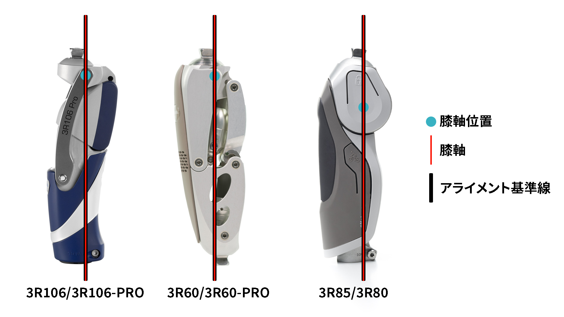 Knee axis_JA-JP