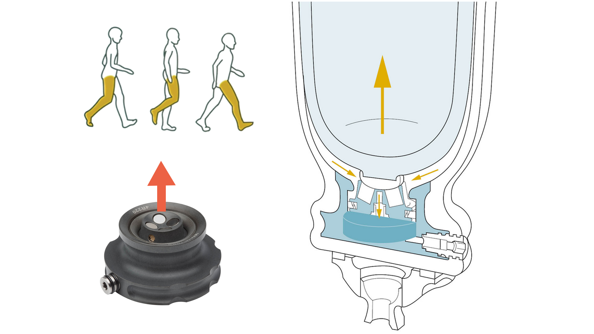 義足懸垂：4R220 DVSダイナミックバキュームシステム
