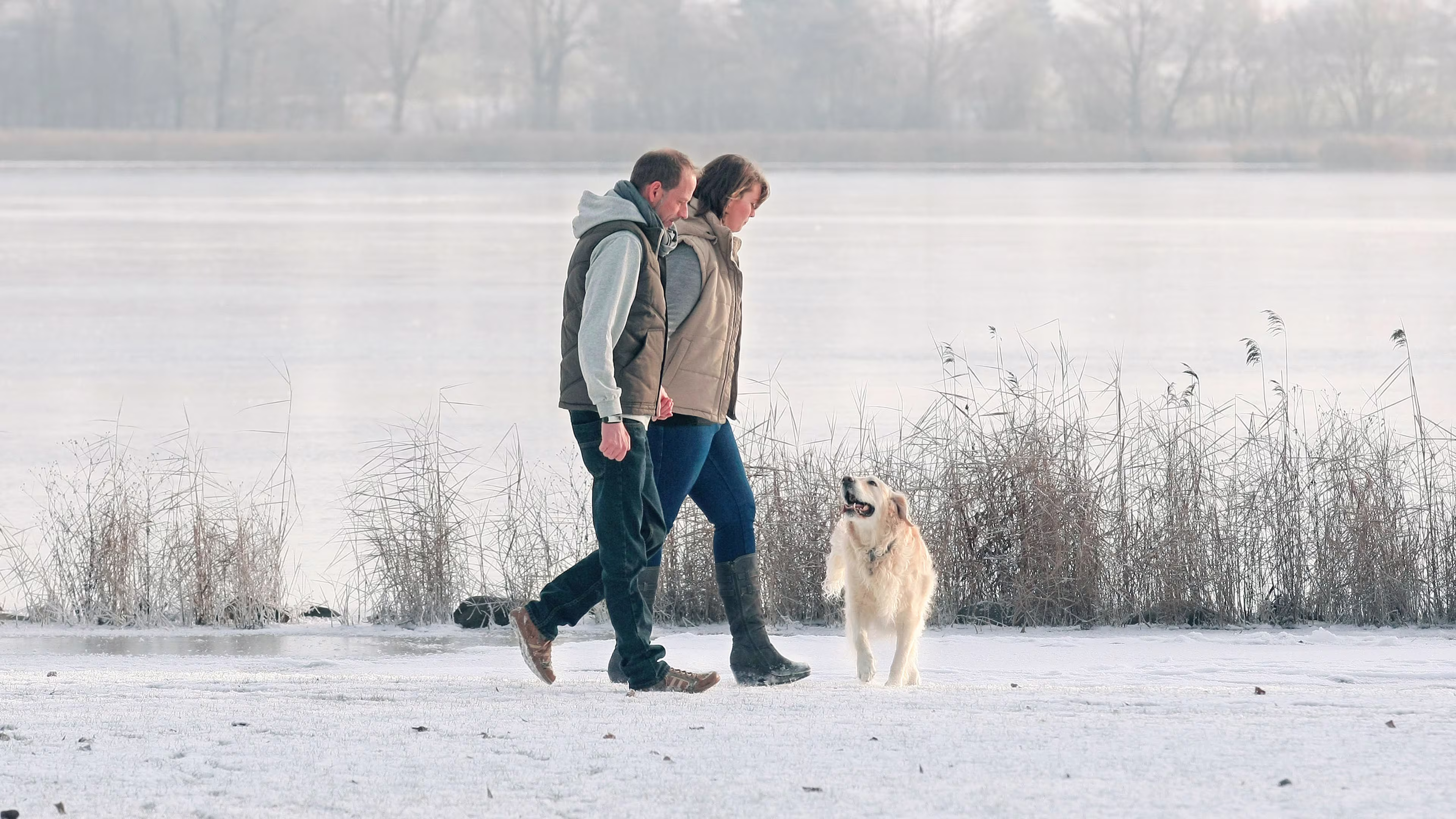 A man and a woman walk their dog by the lake.