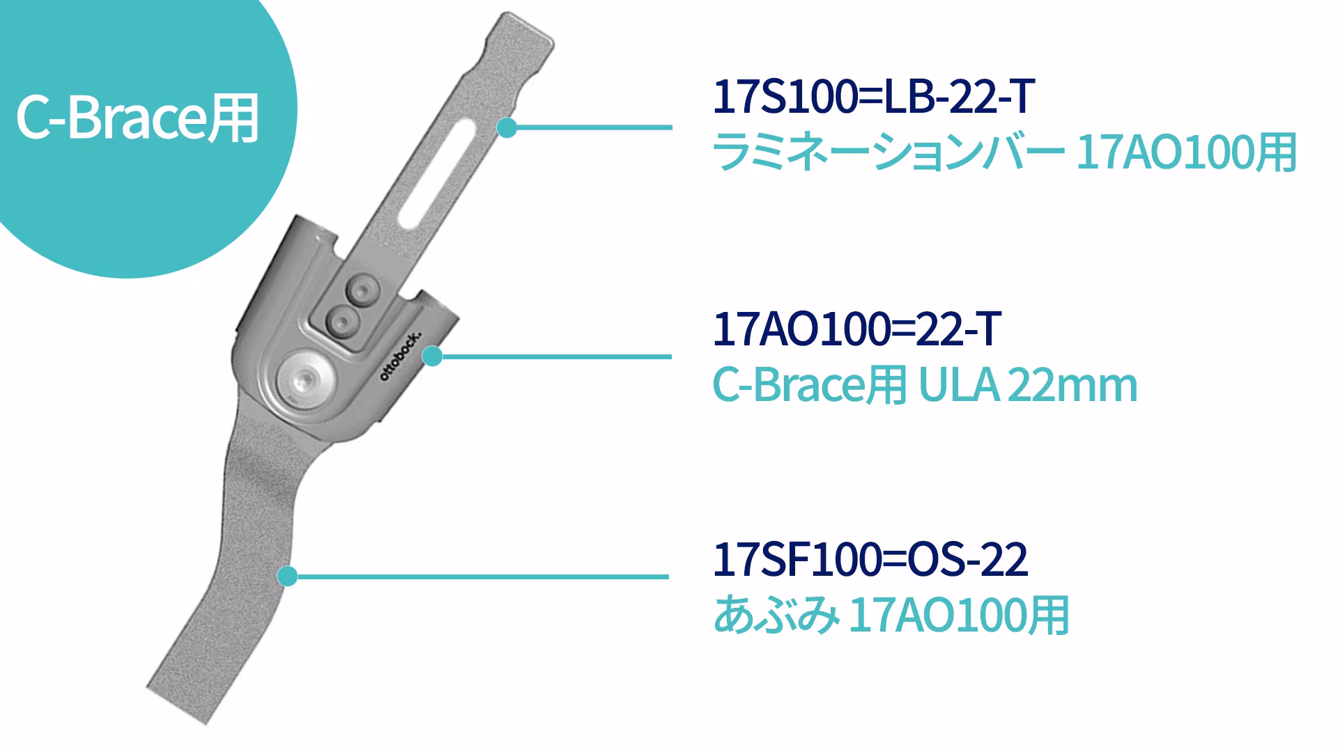 17AO100=22-T list 2024 o_JA-JP