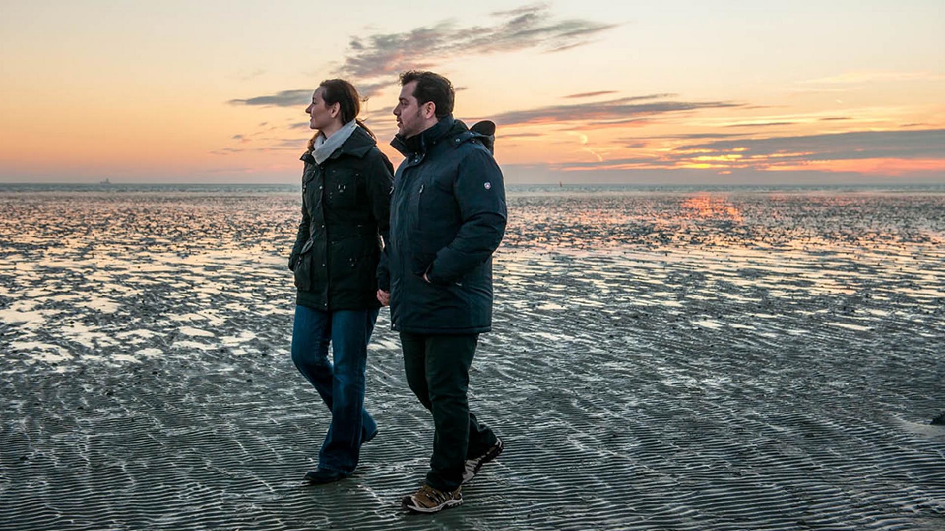 義足足部 1C10テリオン 低活動向け低床カーボン足部 不整路面