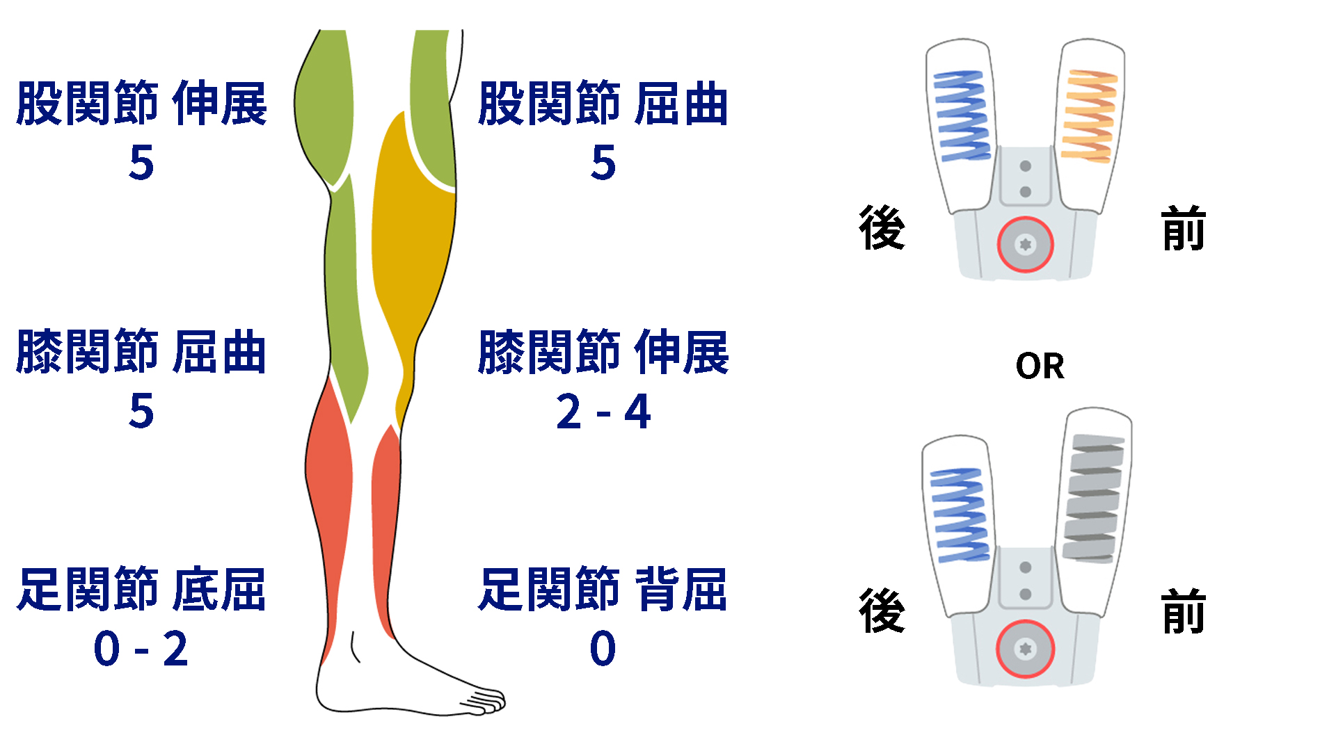 17A300 ネクスギア タンゴ足継手