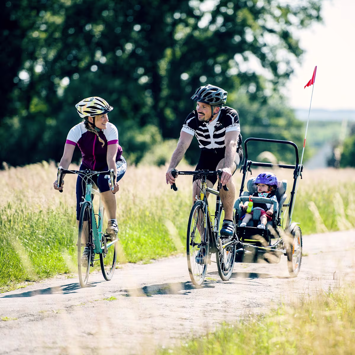 4890150-Mira-con-Kimba-11 (ITA)