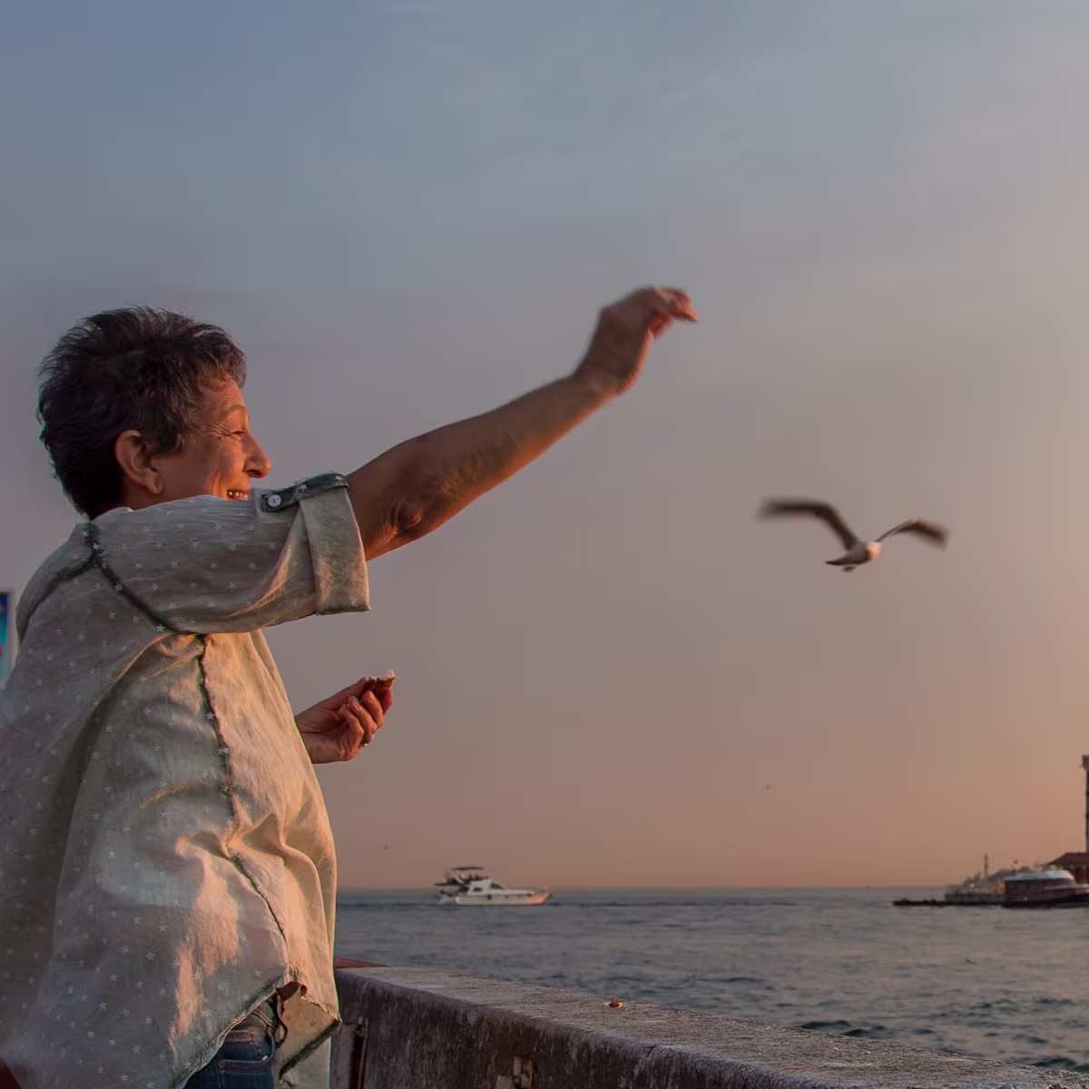 Diyabetik Ayak Konsepti - Stage Asset