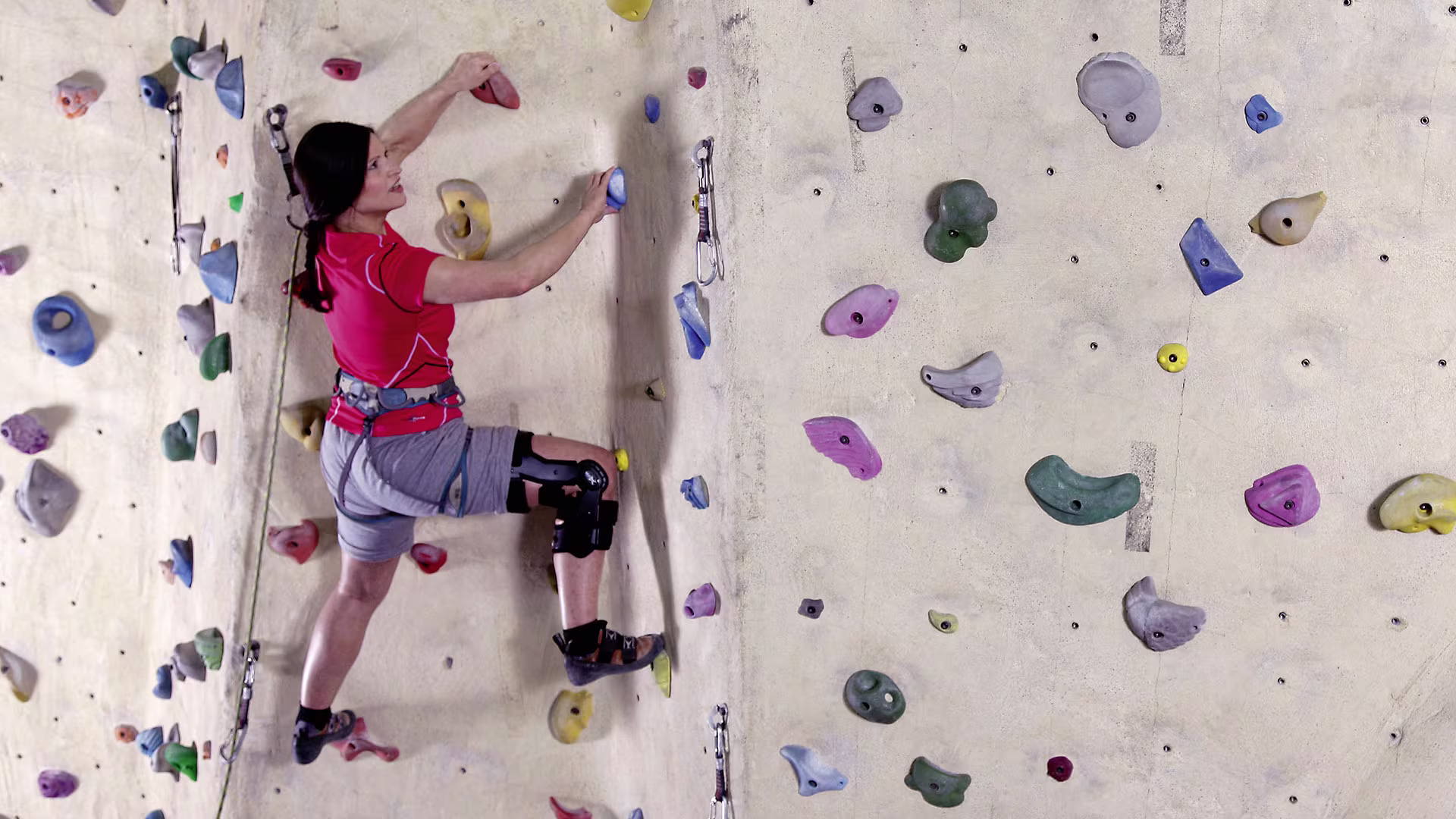 FirstSpiritExport,OBISCM-1557-B2B,media,orthetik,50k30