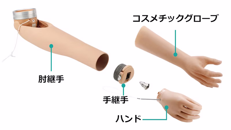 義手パーツ 構造と仕組み 殻構造 ハンド/手継手/肘継手/グローブ