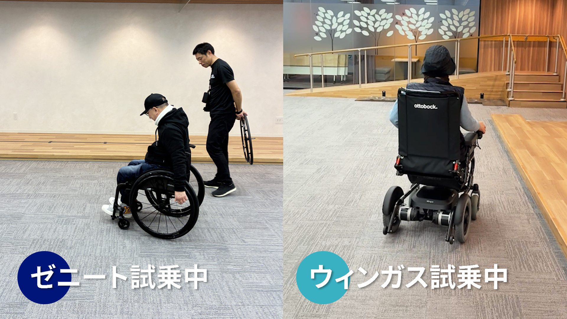 MS-trial 260124-web_JA-JP