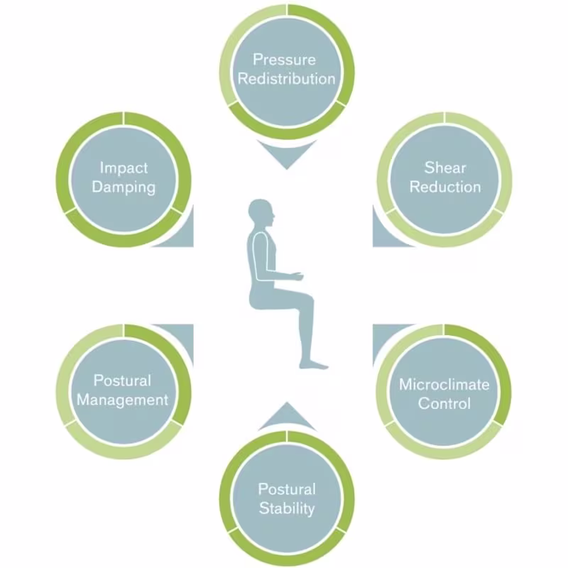 cushion molecules 11 4c 1 1 teaser fallback