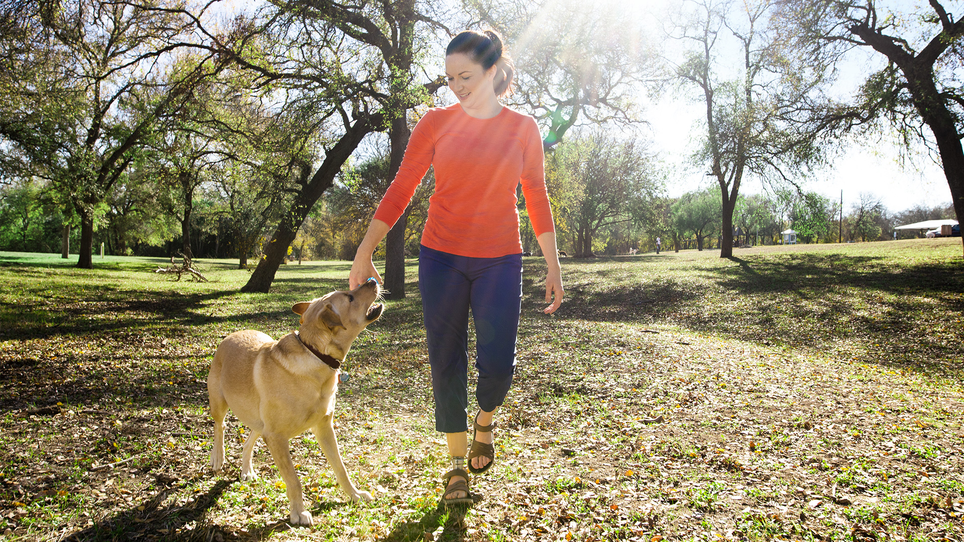 FirstSpiritExport,OBISCM-1557,web_site,prosthetics_2,lower_limb_1,taleo_familienseite