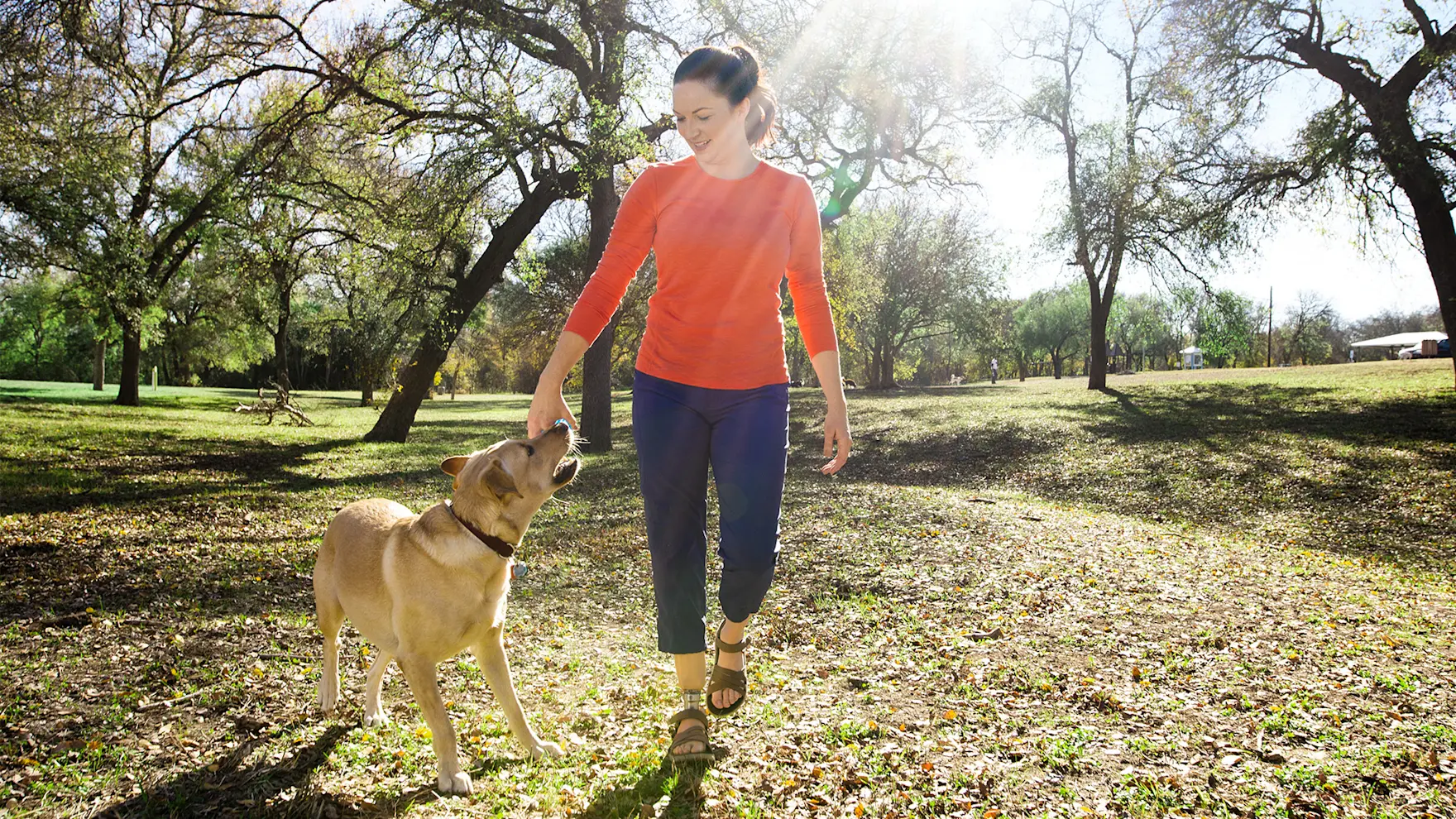 Ottobock.care | Taleo Adjust Prosthetic Foot