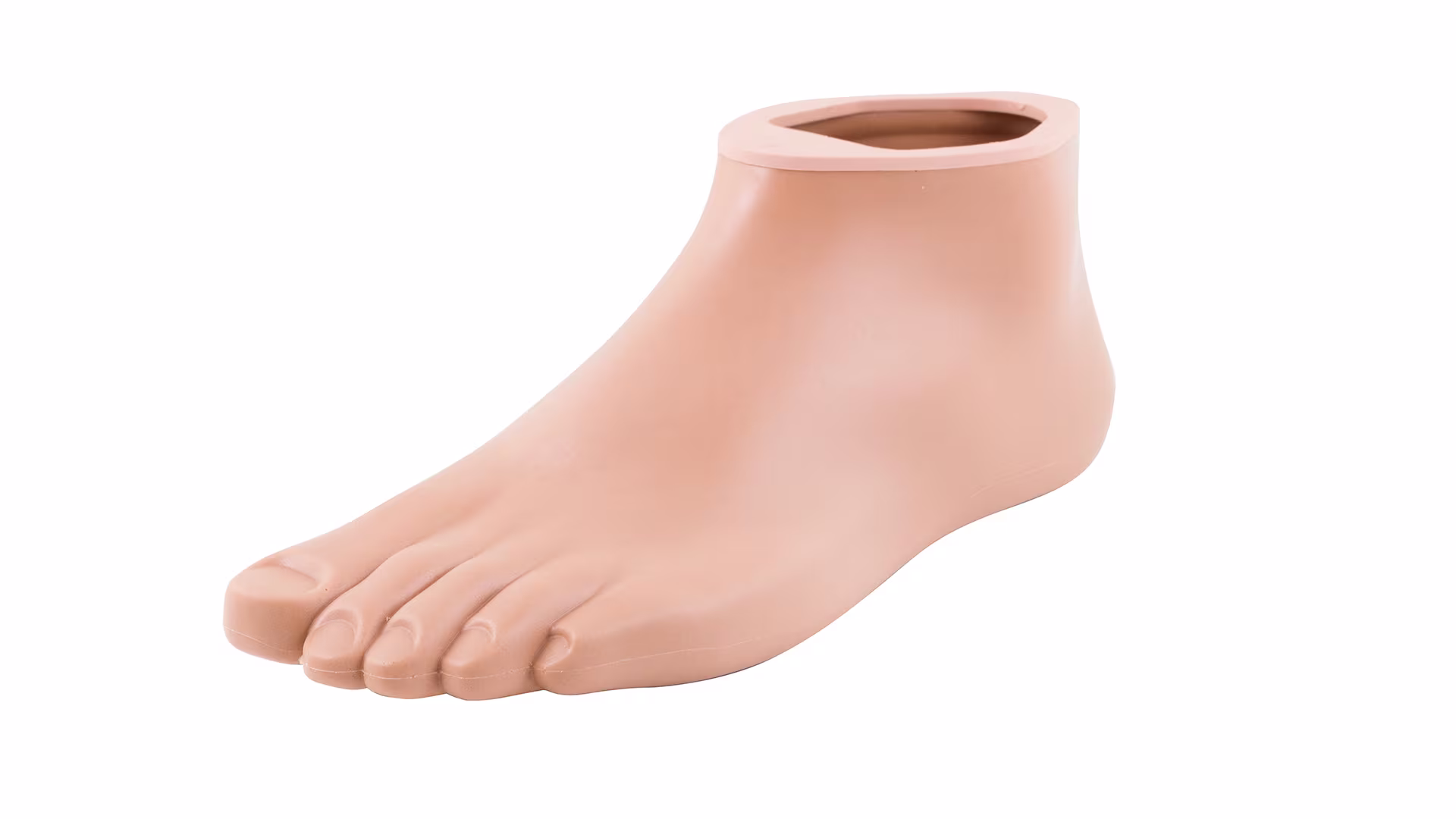 2C3 - Trias footshell (UA)