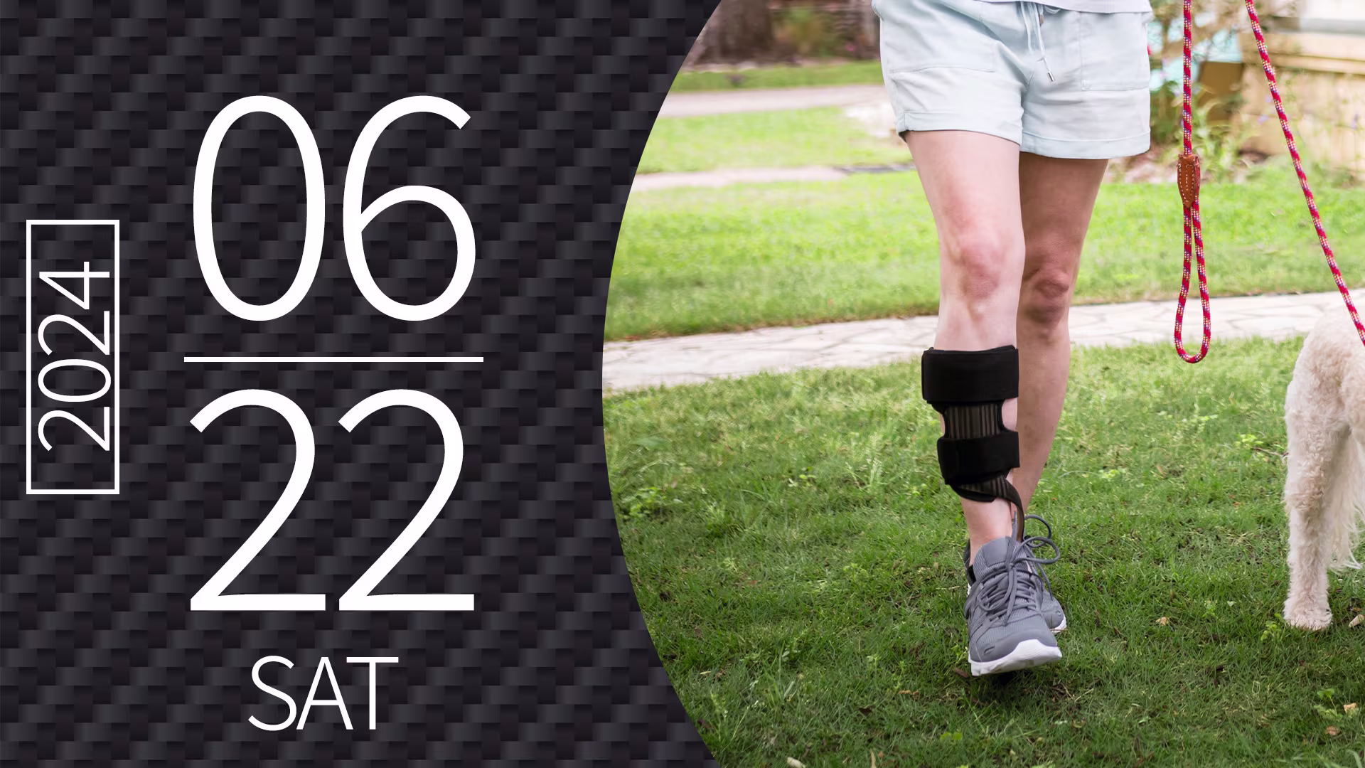 seminar240622 o_JA-JP walkon seminar