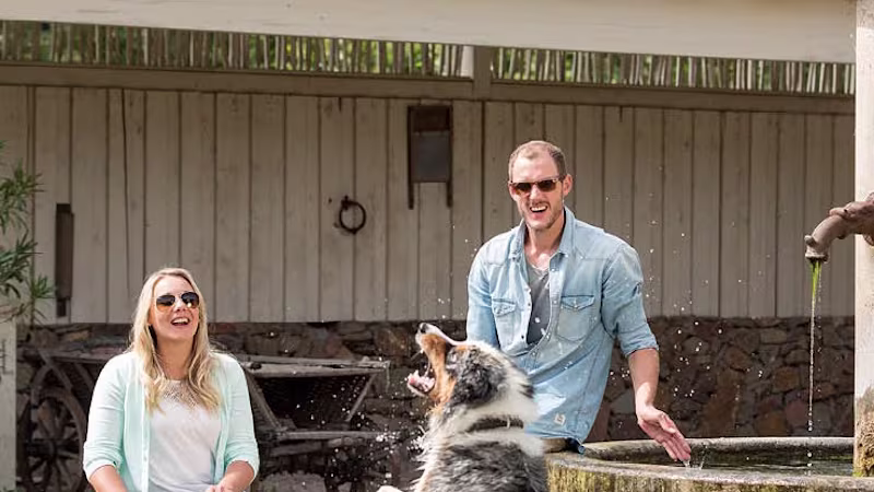 Svenja Avantgarde DE-DE