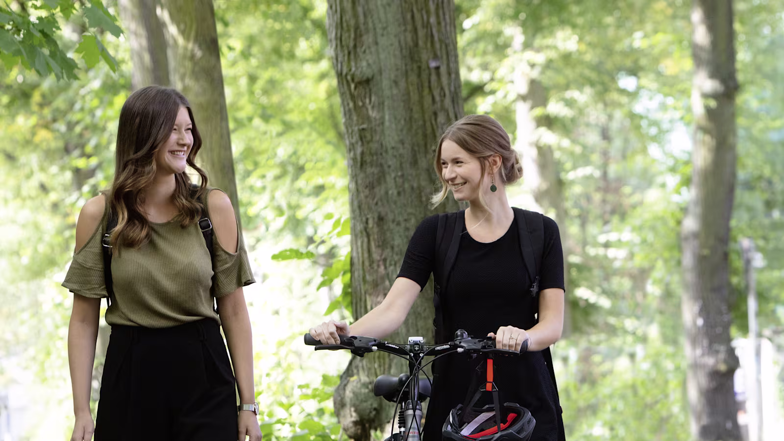 FirstSpiritExport,OBISCM-1557-B2B,media,orthetik,50k13_genu_arexa