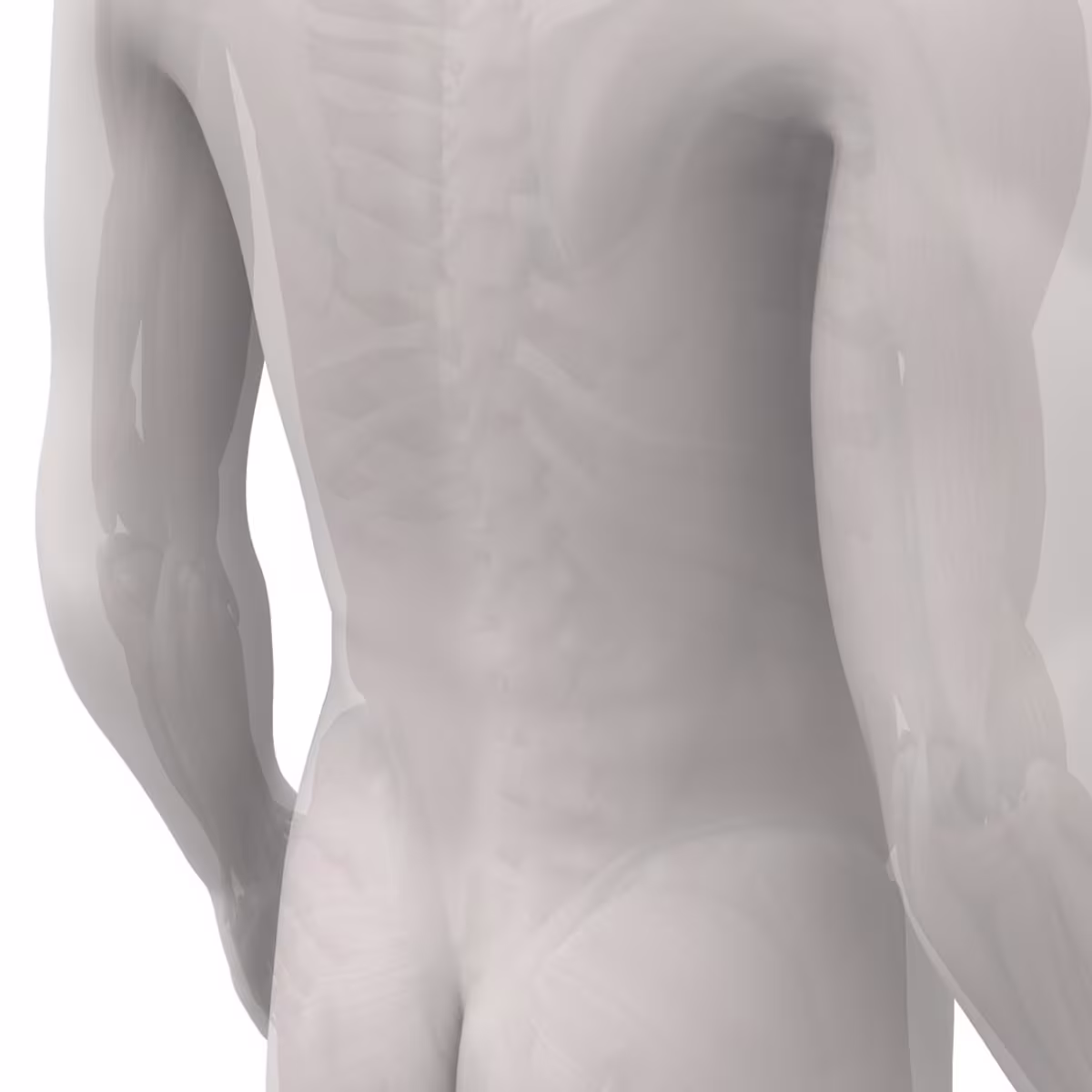 -34038 Back Hip--169-col(1440431) en