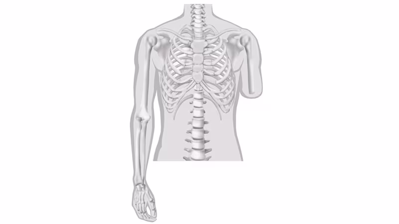 義手 切断レベル 上腕義手 上腕切断