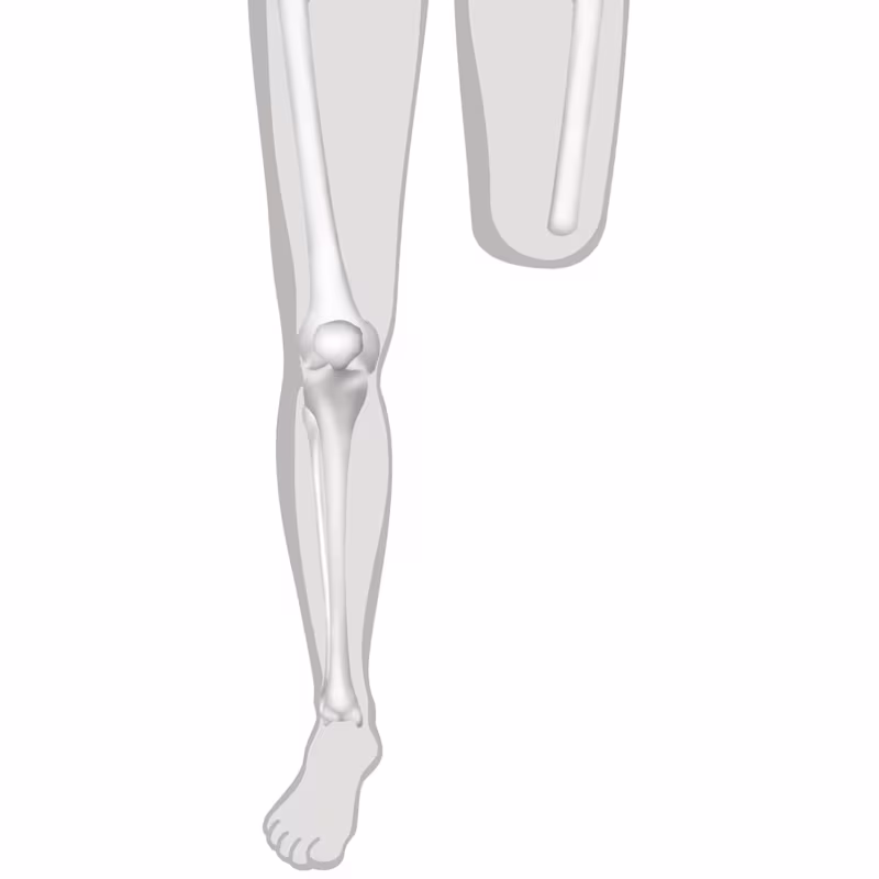 FirstSpiritExport,OBISCM-1557,web_site,medicalcare,prostheses___faqs