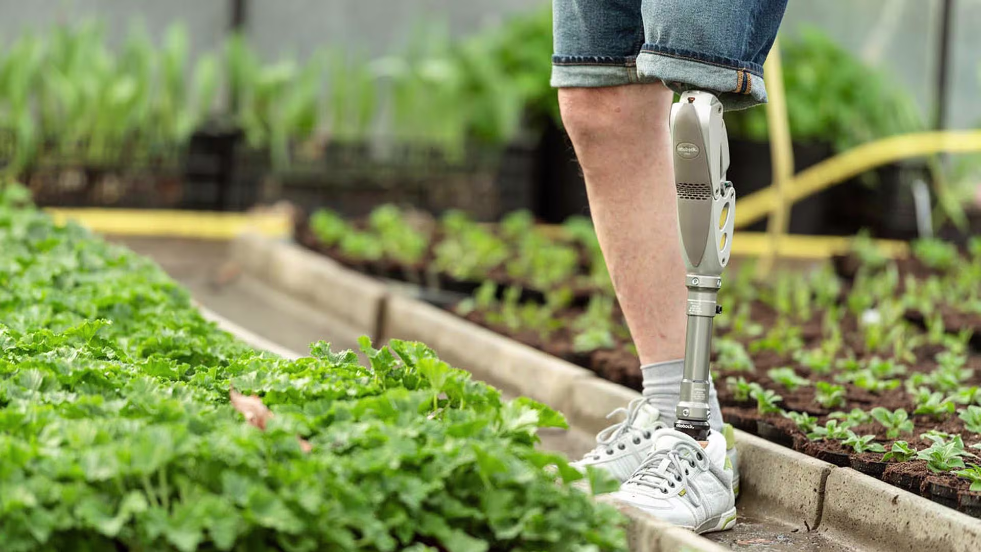 3r60 knee-joint image3_JA-JP