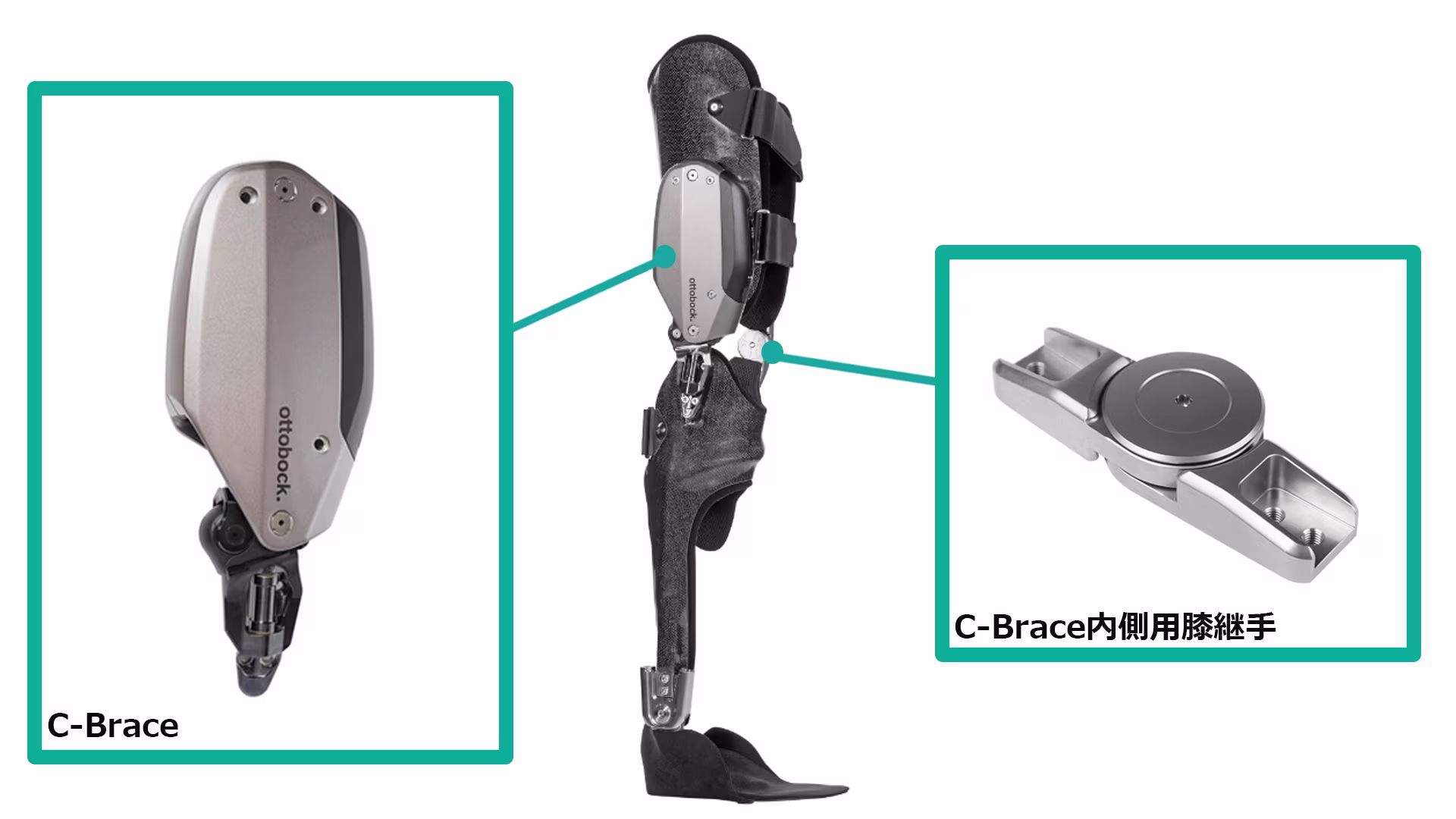 完成用部品2020 C-brace