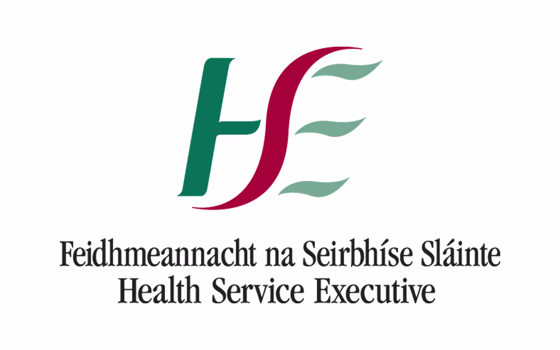 HSE Logo