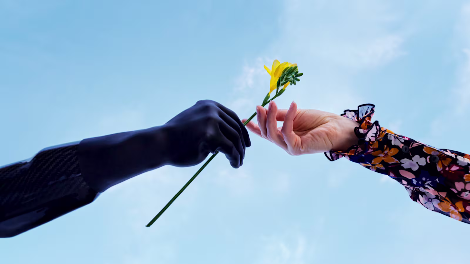 A natural hand and an Ottobock michelangelo prosthetic hand are passing a flower to each other against a sky-blue background.