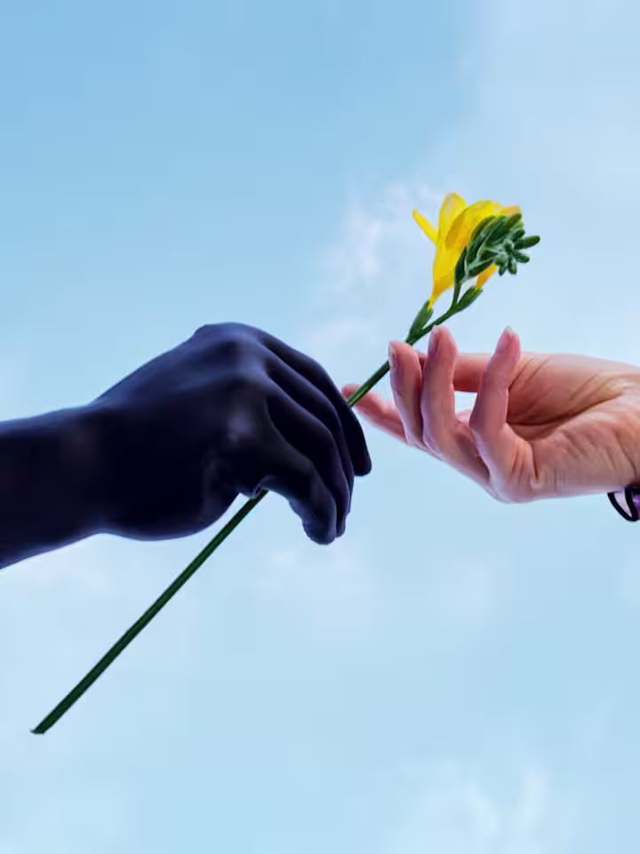 A natural hand and an Ottobock michelangelo prosthetic hand are passing a flower to each other against a sky-blue background.