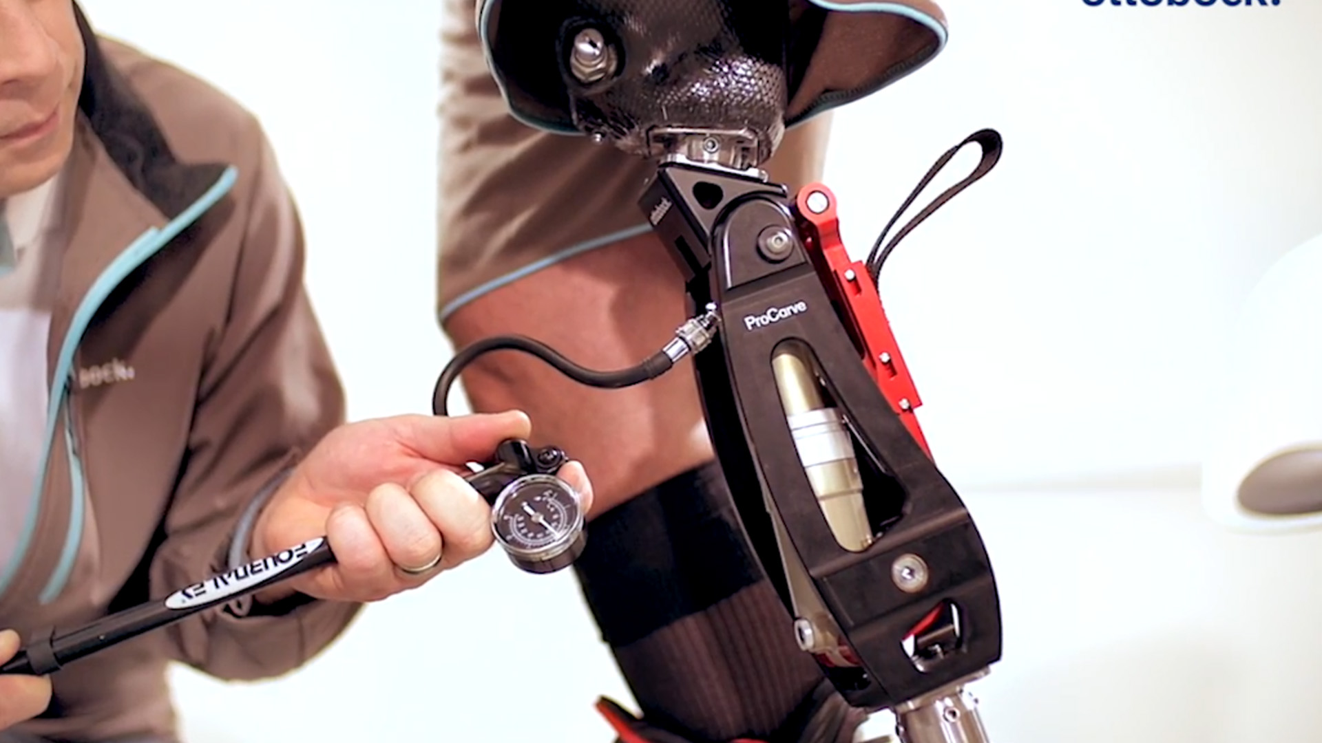 procarve adjustment_JA-JP