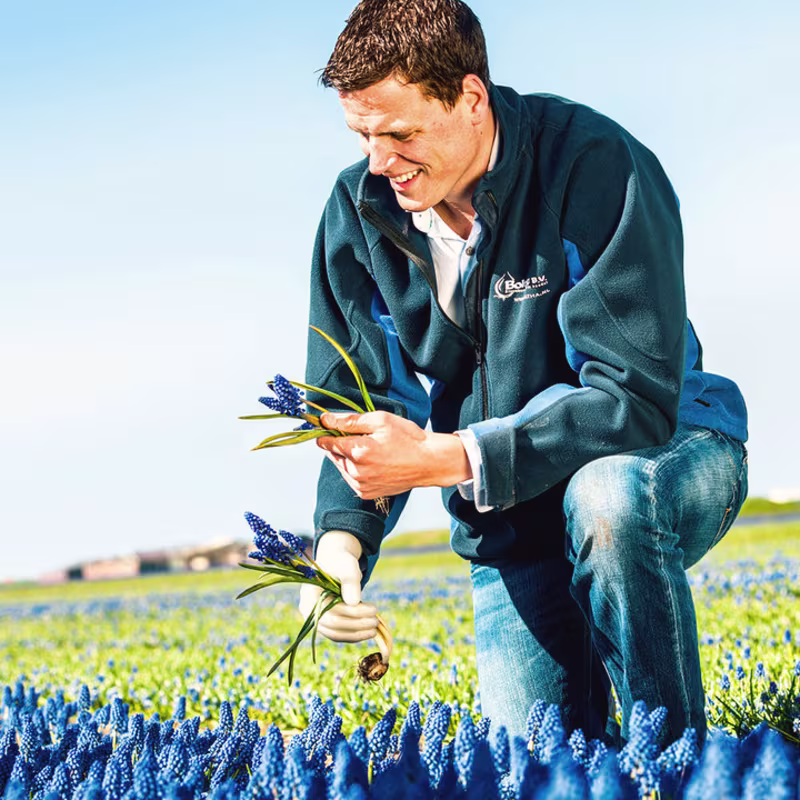 Ein Armprothesenträger arbeitet im Garten mit Blumen. Er trägt die Michelangelo Hand von Ottobock.
