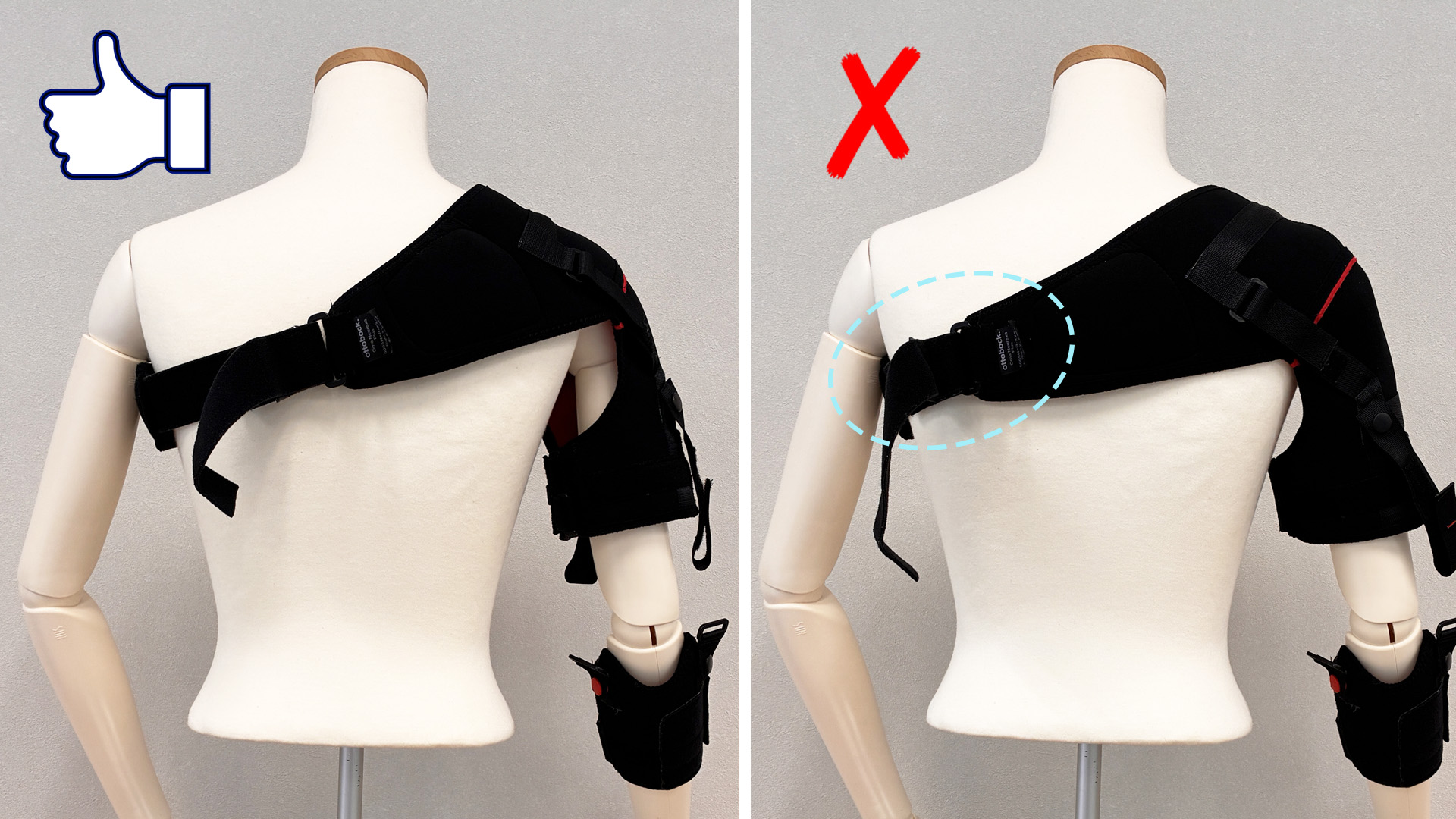 tech omo5065 back1_JA-JP