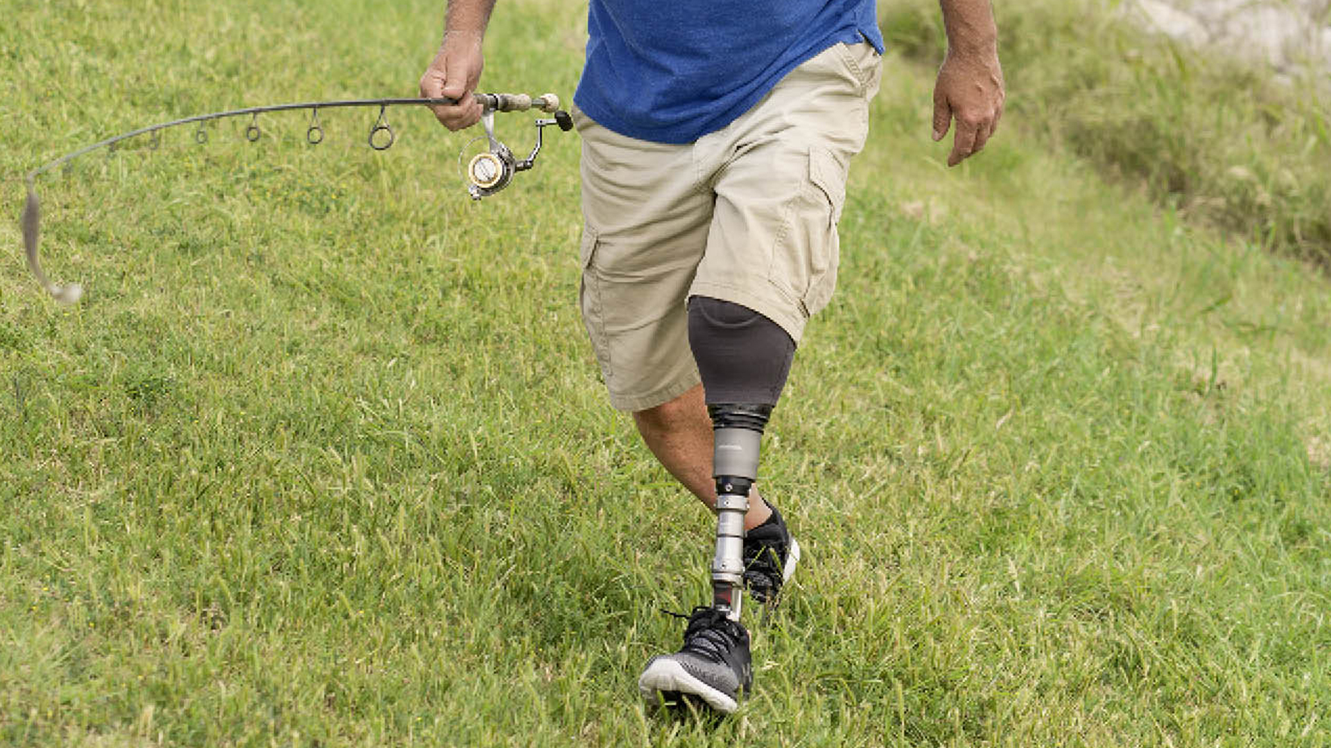 harmony p4 function_JA-JP