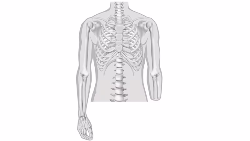 義手 切断レベル 前腕義手 前腕切断