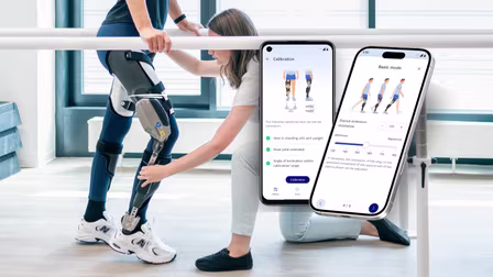 Scandinavian webinar