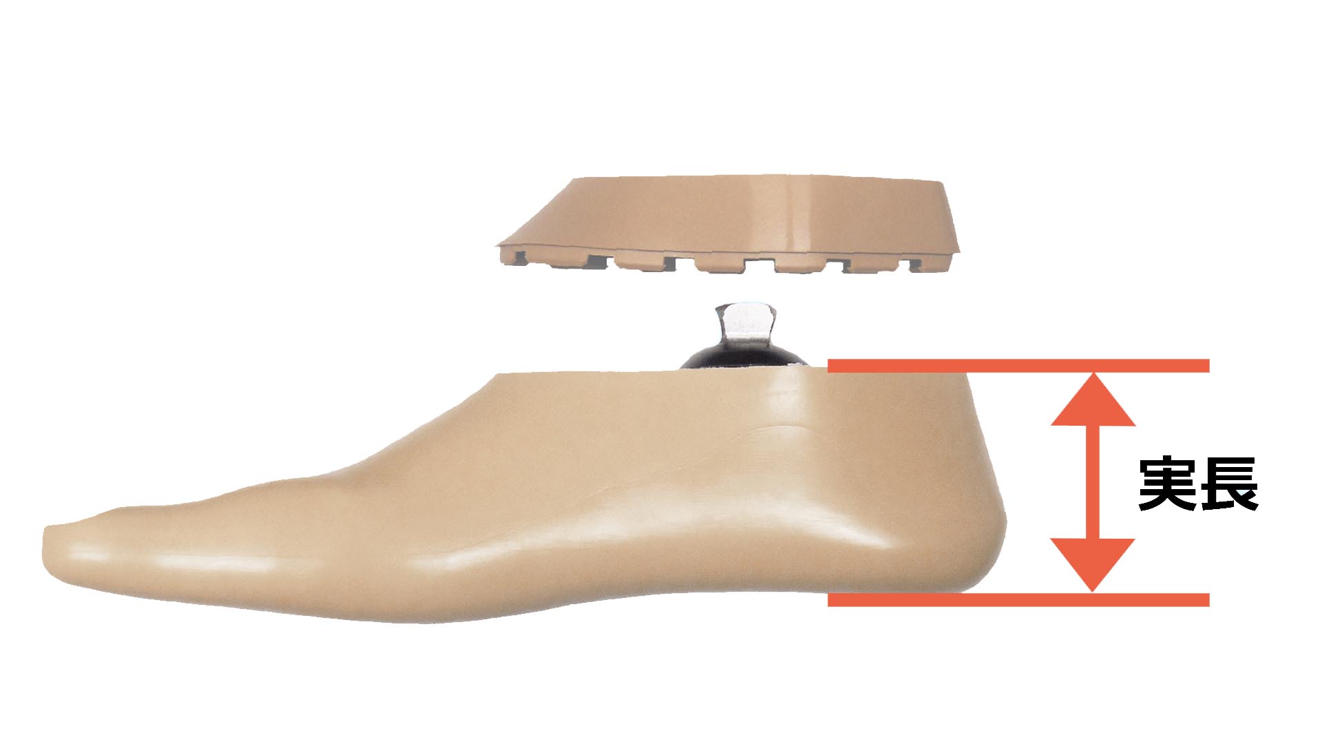 義足足部 1C10テリオン 低活動向け低床カーボン足部 構造