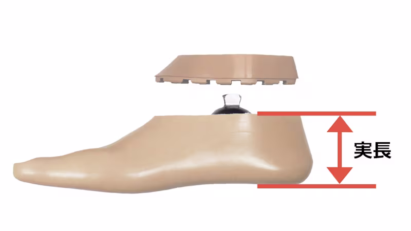 義足足部 1C10テリオン 低活動向け低床カーボン足部 構造