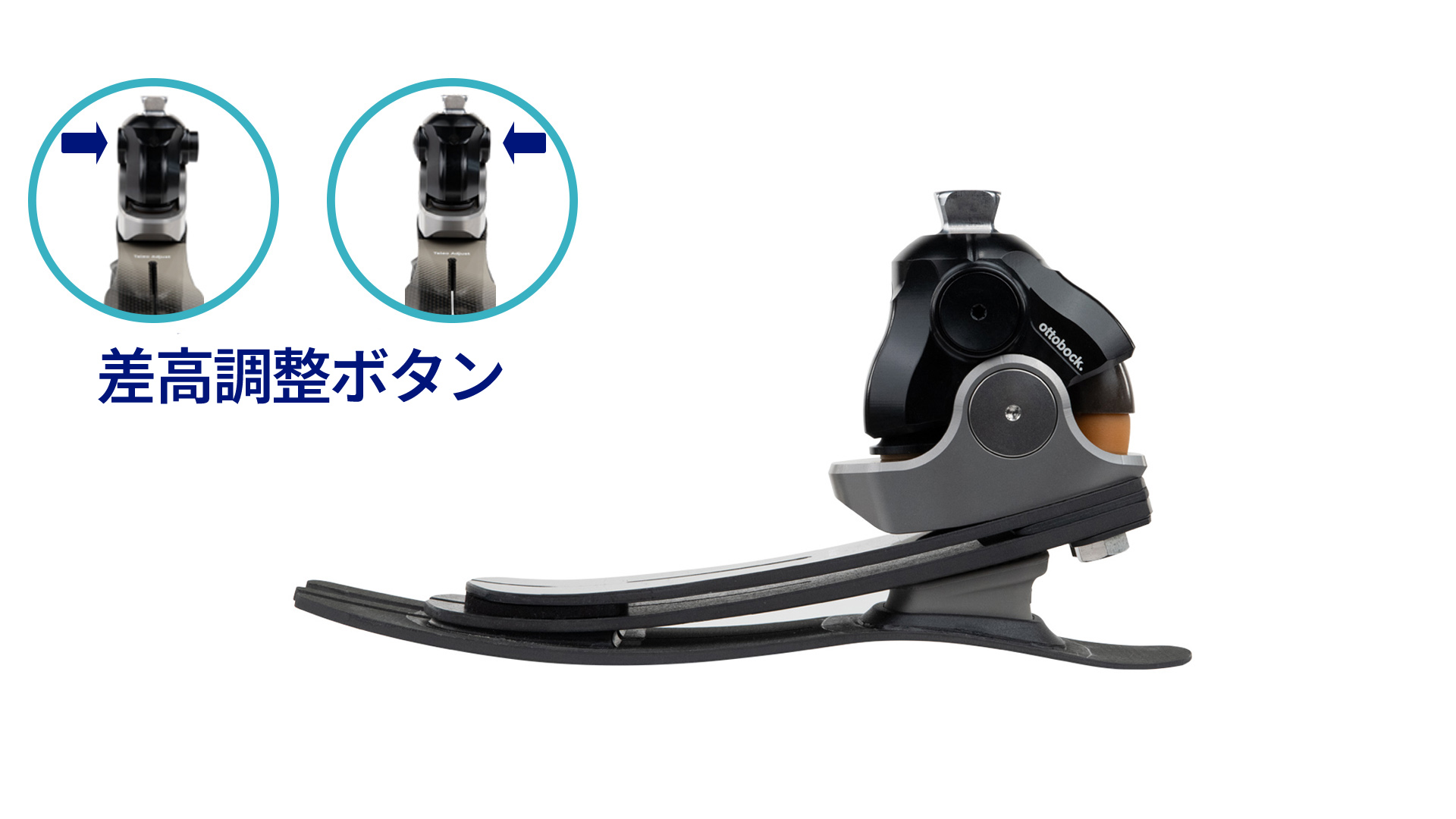 1C56 タレオアジャスト 差高調整 カーボン足部