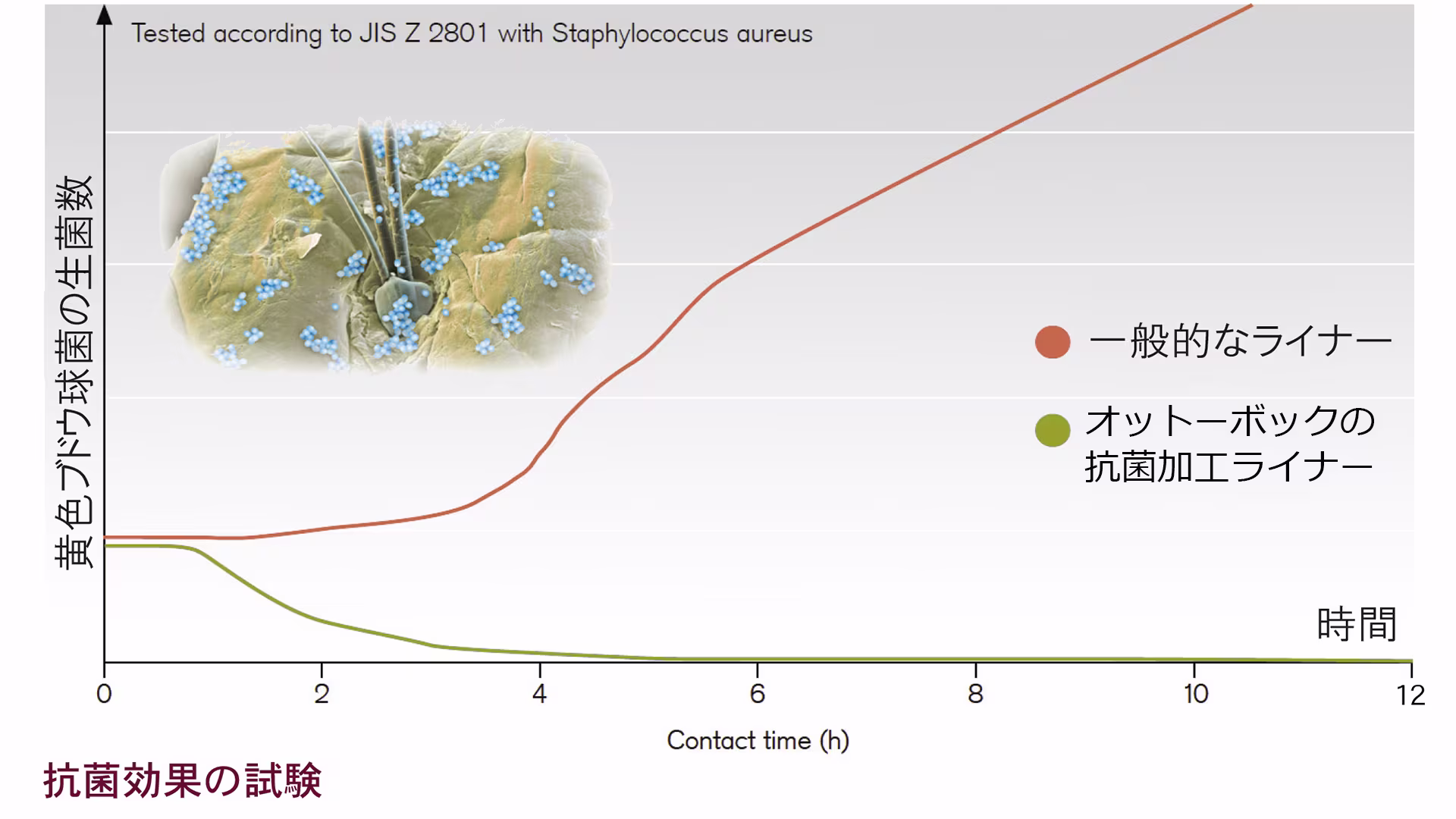 義足ライナー 抗菌加工6Y75/6Y85/6Y110/6Y78/6Y88 黄色ブドウ球菌 衛生的