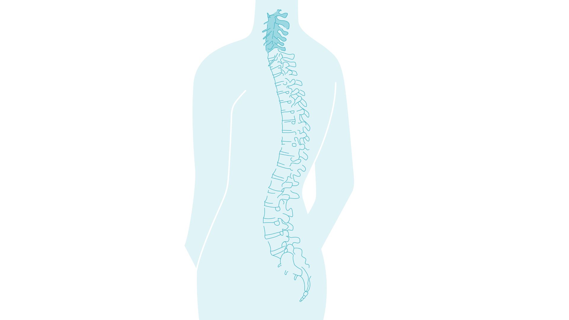 Servikal omurga(boyun bölgesi)