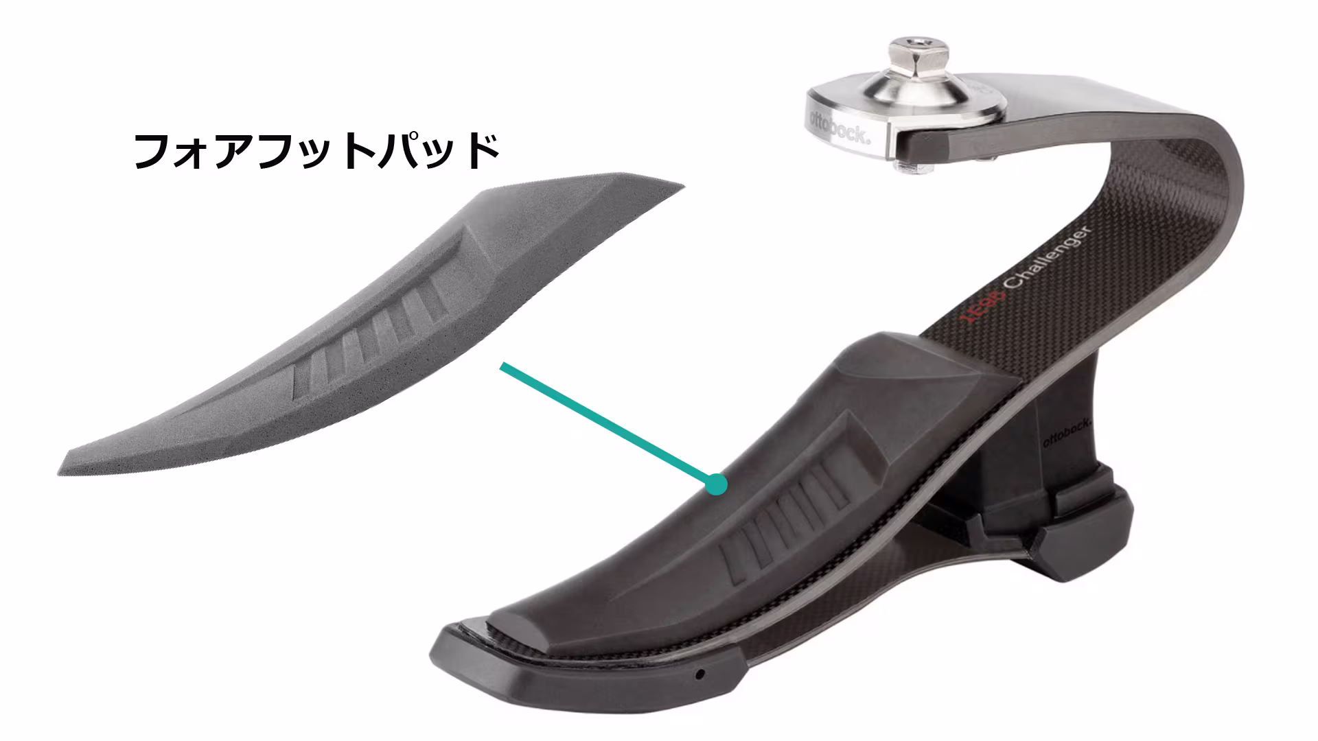 義足足部 1E95チャレンジャー 構造