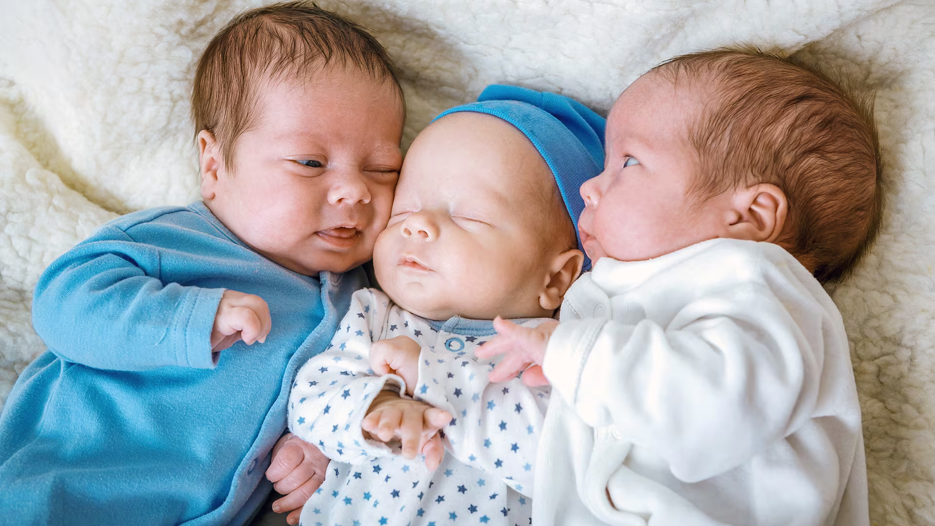 Baby triplets closely lying next to one another