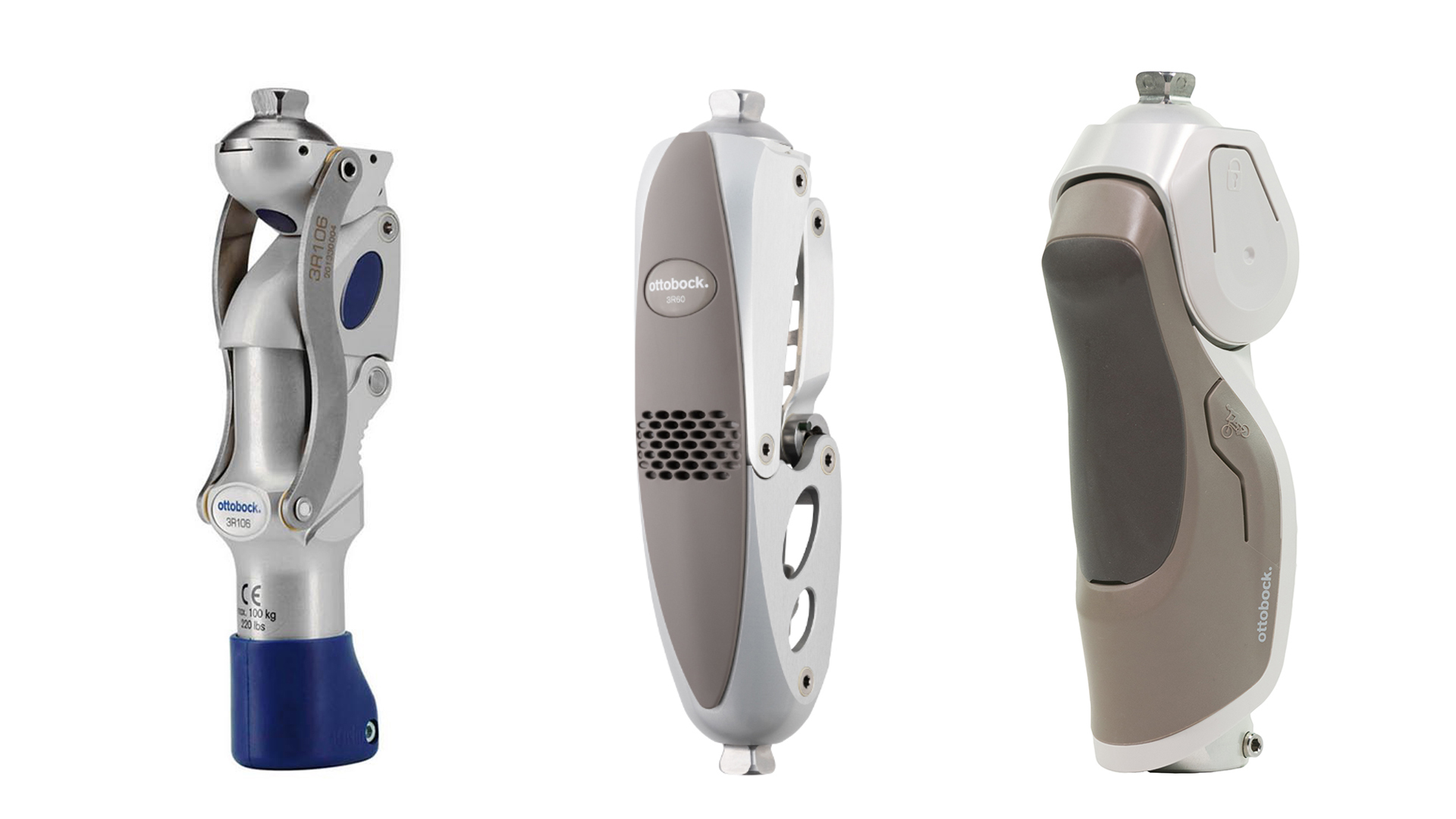 knee-joint2_JA-JP