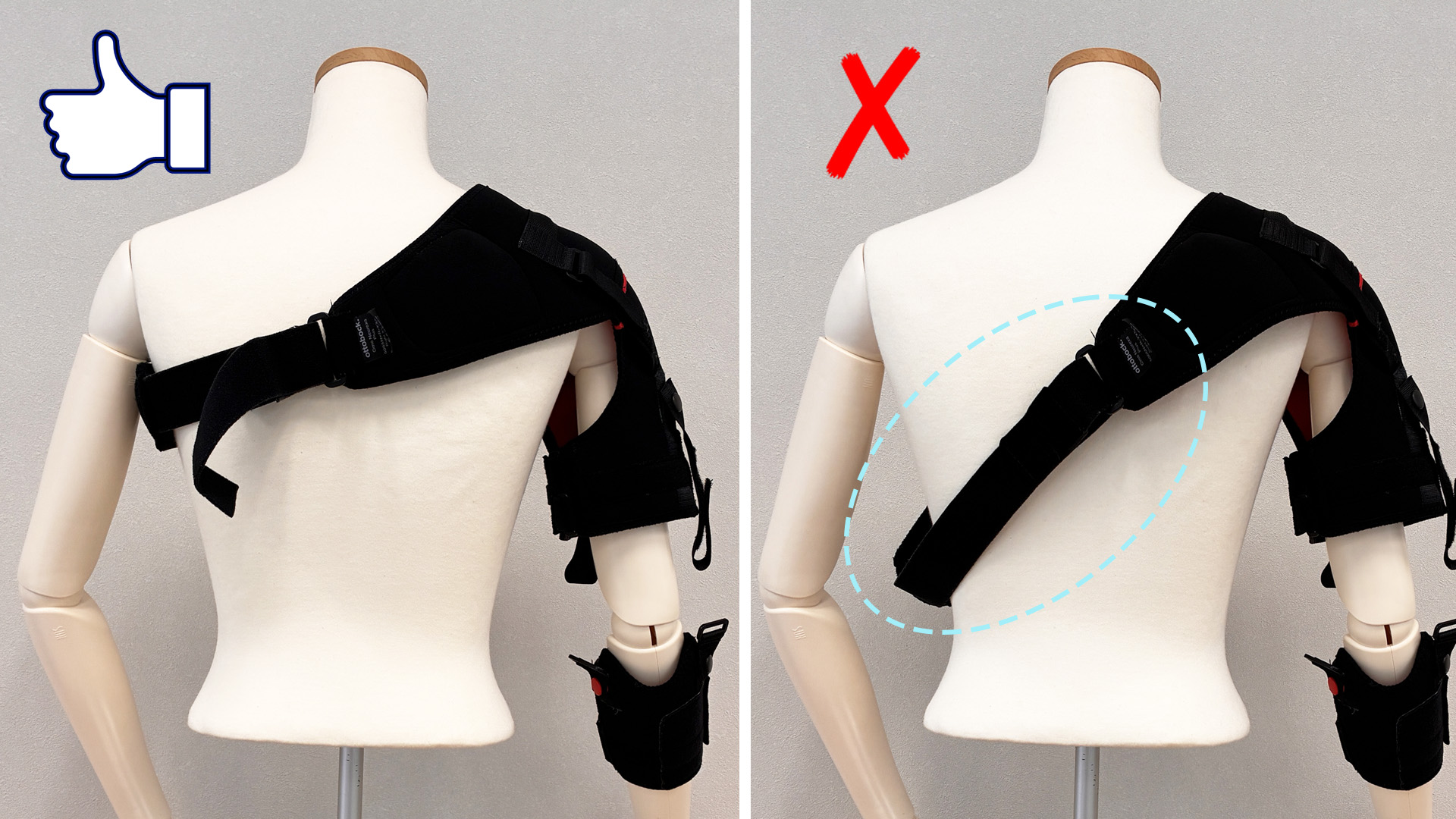 tech omo5065 back2_JA-JP